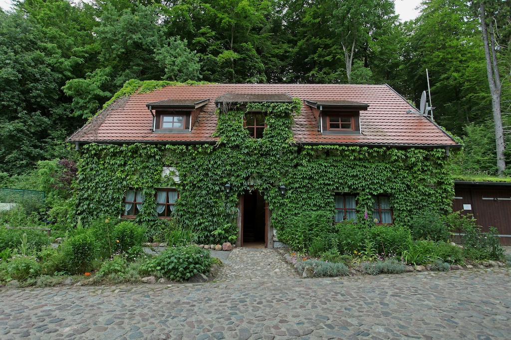 Hotel Boltenmuehle Guhlen Glienicke Номер фото